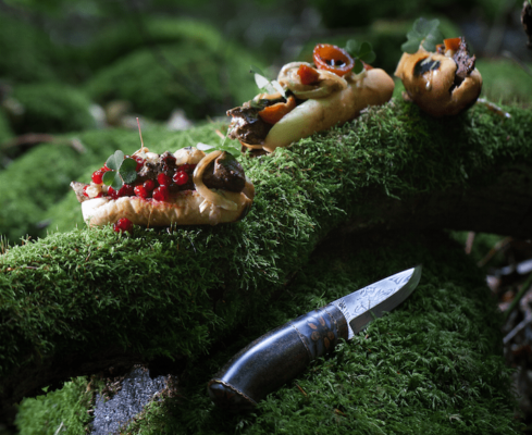 Opskrift vild foiegras hotdog