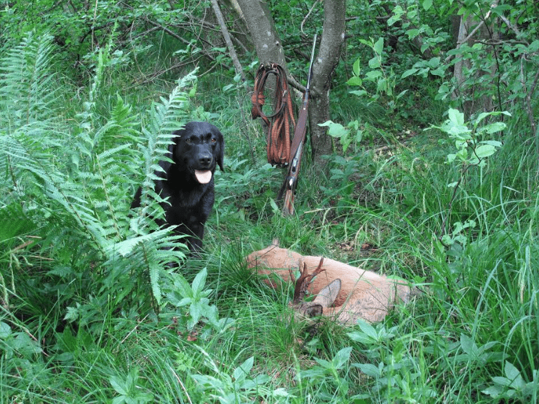 Optagelse schweissregistret