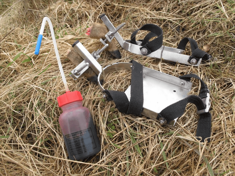 færtsko og flaske blod til schweisstræning